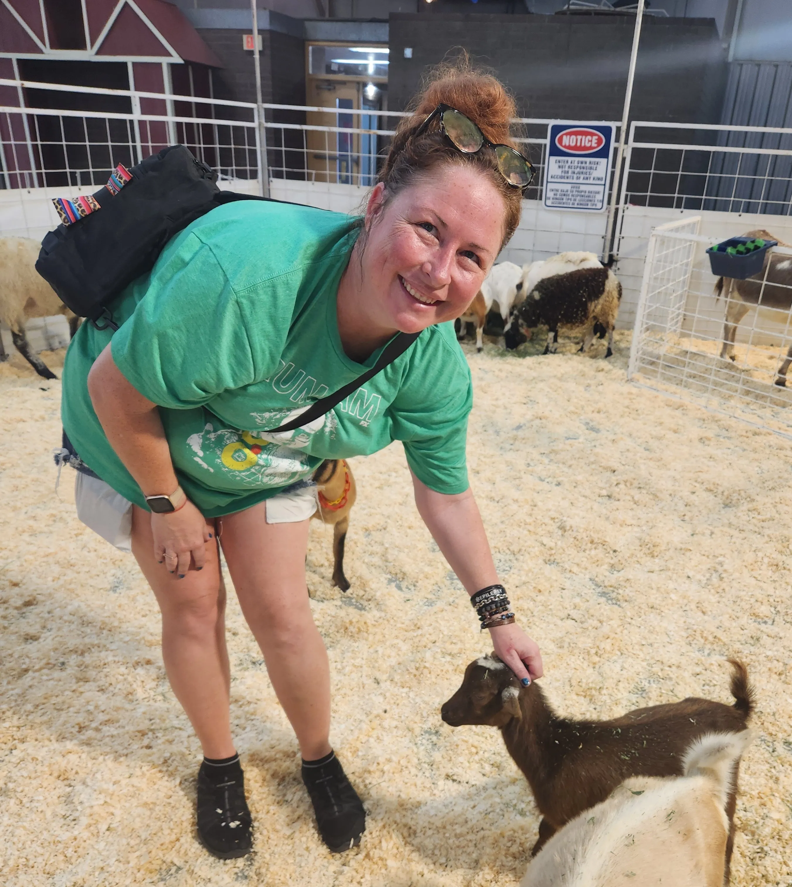 Anna petting goats