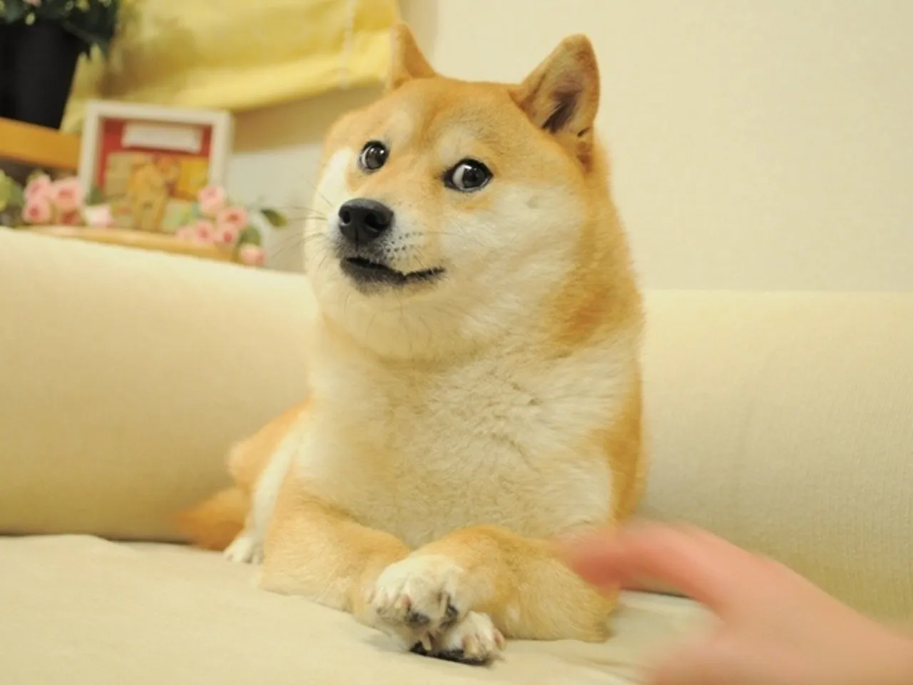 Kabuso